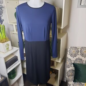 Jones New York Blue and Black Long Sleeve Dress